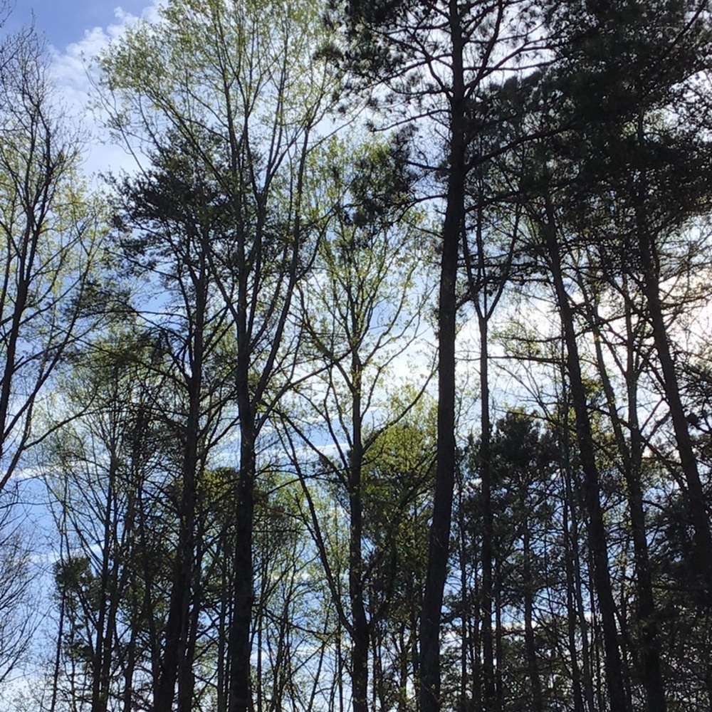 Meet your Posher, Gail